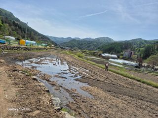 들깨18202님의 기타작물 · 영농일지 작성글 사진