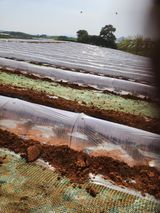 김저팔계님의 작성글 사진