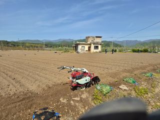 손영호님의 기타작물 · 영농일지 작성글 사진