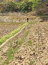 황미순님의 작성글 사진