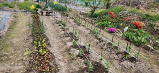 김순섭님의 기타작물 · 영농일지 작성글 사진