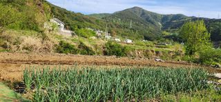 김순섭님의 작성글 사진