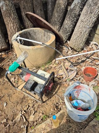 엉뚱님의 기타작물 · 영농일지 작성글 사진