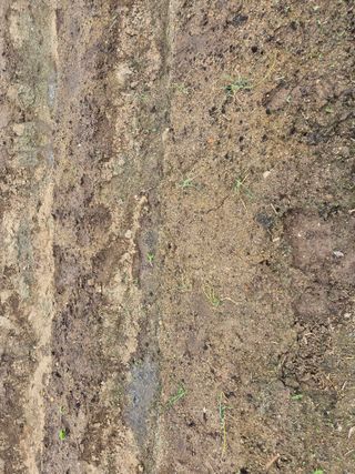 님의 토마토 · 영농일지 작성글 사진