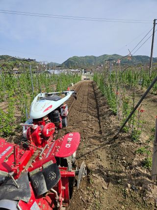 유제상님의 기타작물 · 영농일지 작성글 사진