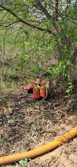 이복길님의 기타작물 · 영농일지 작성글 사진