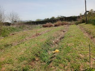 블루하늘TV님의 작성글 사진