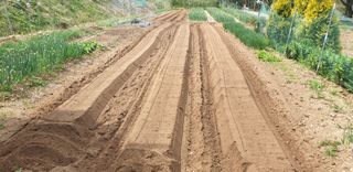 정천복님의 작성글 사진