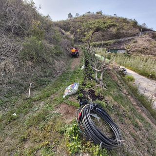 가로수님의 기타작물 · 영농일지 작성글 사진