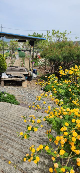 김순섭님의 기타작물 · 영농일지 작성글 사진