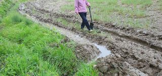 반성식님의 기타작물 · 영농일지 작성글 사진