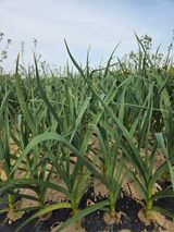 심상훈님의 작성글 사진