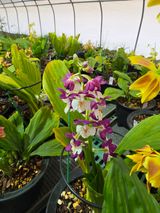 이성규 님의 작성글 사진