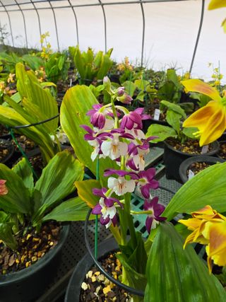 이성규 님의 기타작물 · 영농일지 작성글 사진