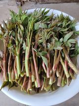 인생은 소풍처럼~님의 작성글 사진