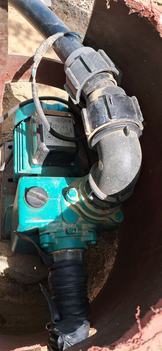 이복길님의 기타작물 · 영농일지 작성글 사진