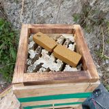 가로수님의 작성글 사진