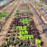 김춘성님의 작성글 사진