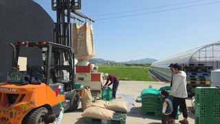 박상희님의 벼 · 영농일지 작성글 사진