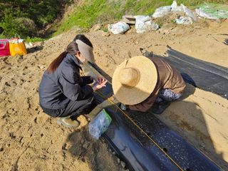 신지연님의 기타작물 · 영농일지 작성글 사진