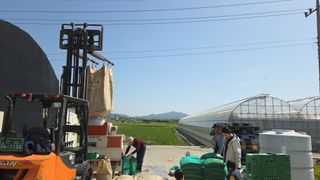 박상희님의 벼 · 영농일지 작성글 사진