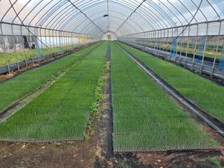 엄재웅님의 기타작물 · 영농일지 작성글 사진