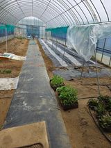 현모양처(양현모)님의 작성글 사진