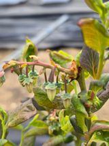 써니님의 작성글 사진