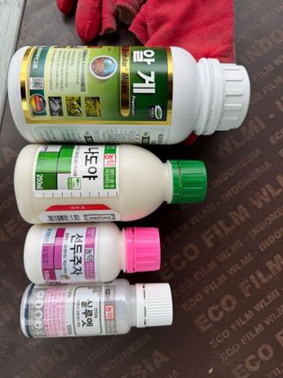 이선민(호뜨락)님의 포도 · 영농일지 작성글 사진