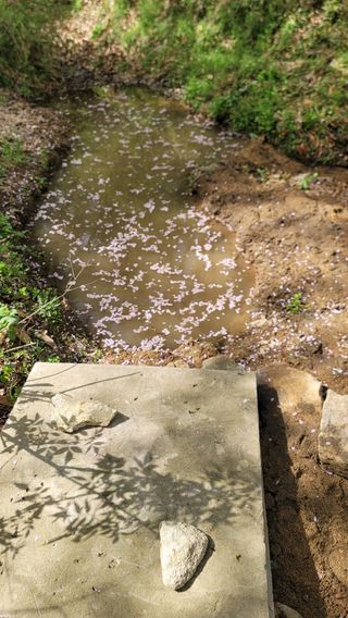 서초농원님의 기타작물 · 영농일지 작성글 사진