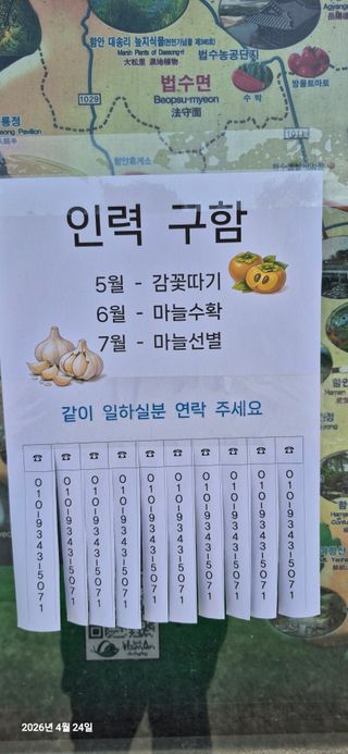 조준제님의 기타작물 · 영농일지 작성글 사진