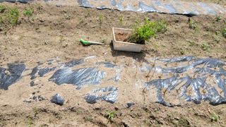 서초농원님의 기타작물 · 영농일지 작성글 사진