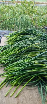 초연동행님의 작성글 사진