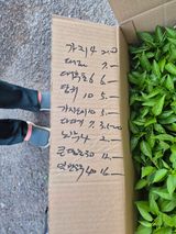 박주희님의 작성글 사진