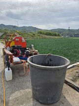 조잠순님의 작성글 사진