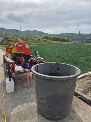 조잠순님의 양파 · 영농일지 작성글 사진