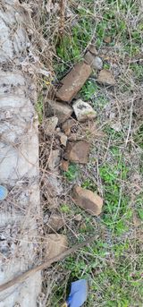 유성훈님의 작성글 사진