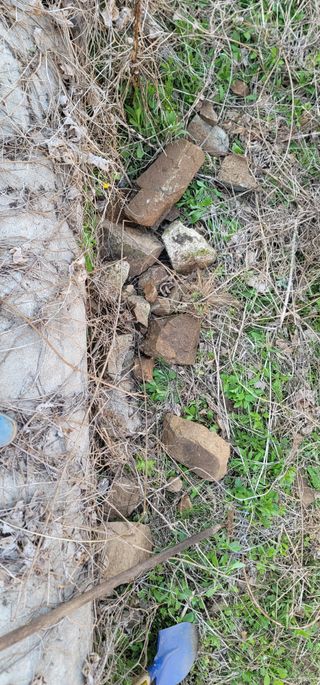 유성훈님의 옥수수 · 영농일지 작성글 사진