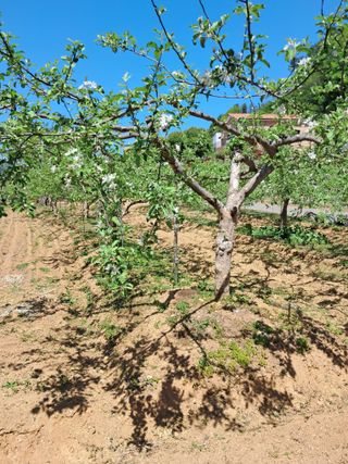 구강회님의 기타작물 · 영농일지 작성글 사진