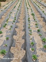 김병효님의 작성글 사진