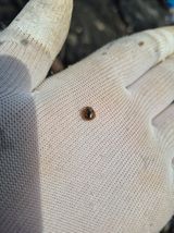 김용희님의 작성글 사진