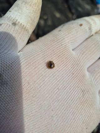 김용희님의 포도 · 영농일지 작성글 사진