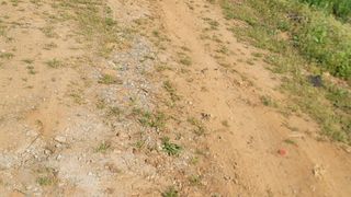 서초농원님의 기타작물 · 영농일지 작성글 사진