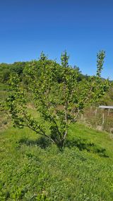 장정규님의 작성글 사진