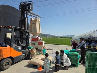 박상희님의 벼 · 영농일지 작성글 사진