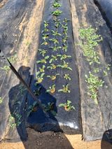 백영호님의 작성글 사진