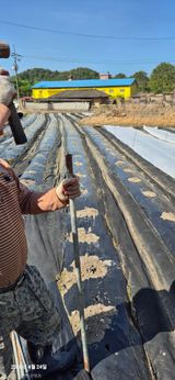 조준제님의 작성글 사진