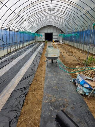 현모양처(양현모)님의 오이 · 영농일지 작성글 사진