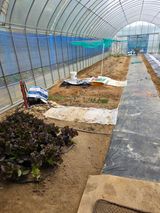 현모양처(양현모)님의 작성글 사진