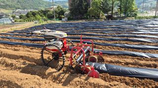 신안광열님의 고구마 · 영농일지 작성글 사진